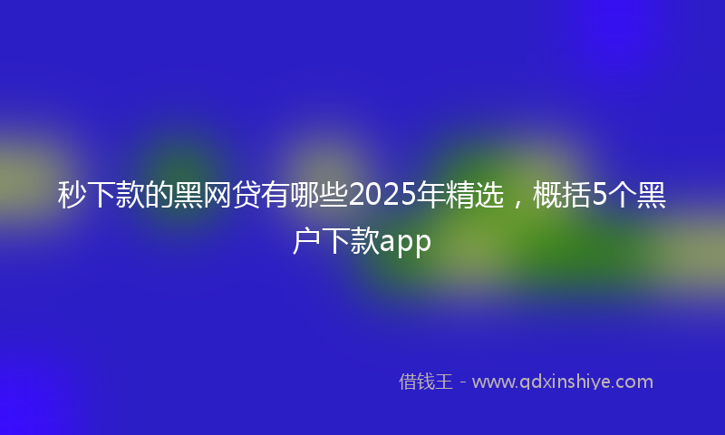 秒下款的黑网贷有哪些2025年精选，概括5个黑户下款app