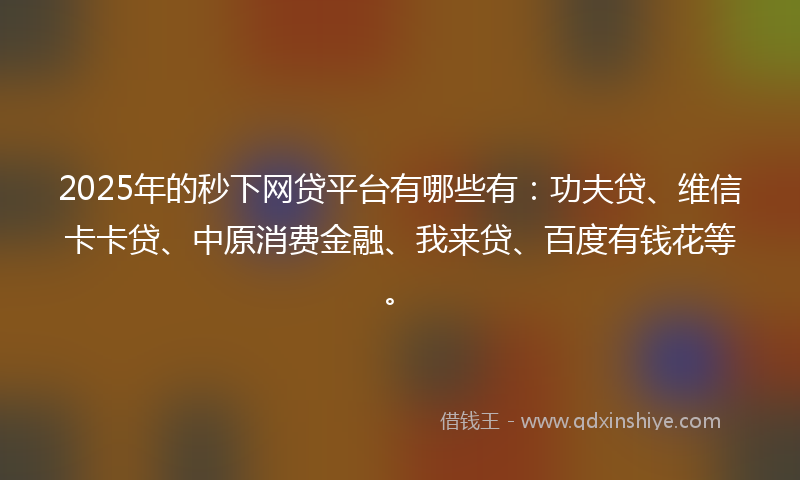 2025年的秒下网贷平台有哪些有：功夫贷、维信卡卡贷、中原消费金融、我来贷、百度有钱花等。
