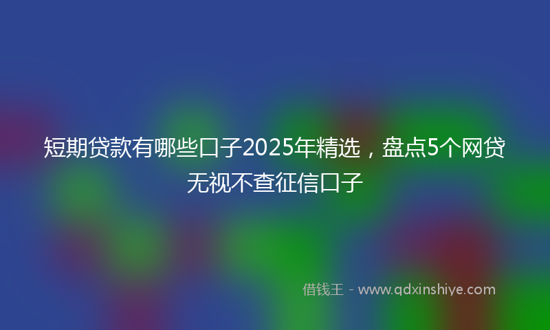 短期贷款有哪些口子2025年精选，盘点5个网贷无视不查征信口子