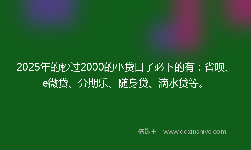 2025年的秒过2000的小贷口子必下的有：省呗、e微贷、分期乐、随身贷、滴水贷等。
