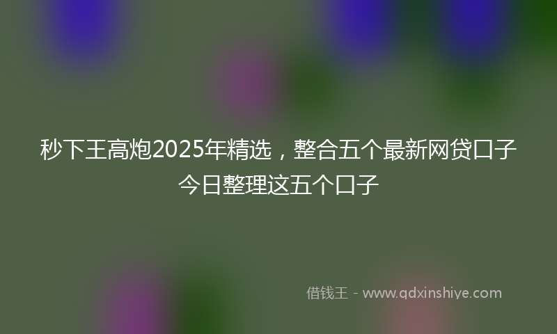 秒下王高炮2025年精选，整合五个最新网贷口子今日整理这五个口子