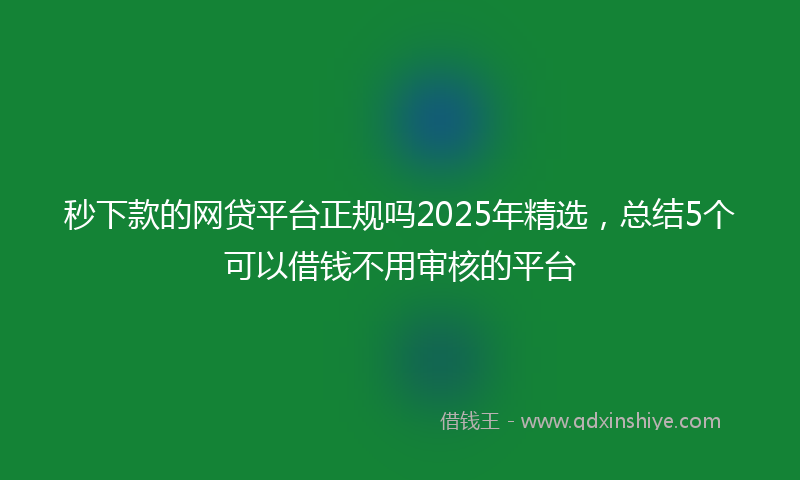 秒下款的网贷平台正规吗2025年精选，总结5个可以借钱不用审核的平台