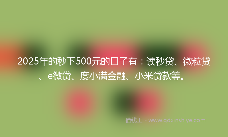 2025年的秒下500元的口子有：读秒贷、微粒贷、e微贷、度小满金融、小米贷款等。