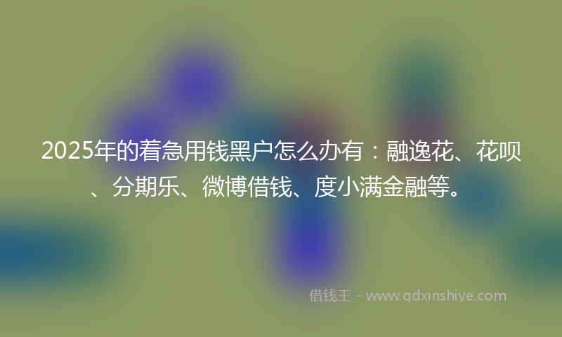 2025年的着急用钱黑户怎么办有:融逸花、花呗、分期乐、微博借钱、度小满金融等。