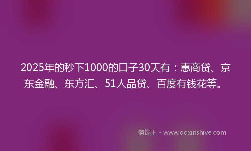 2025年的秒下1000的口子30天有：惠商贷、京东金融、东方汇、51人品贷、百度有钱花等。