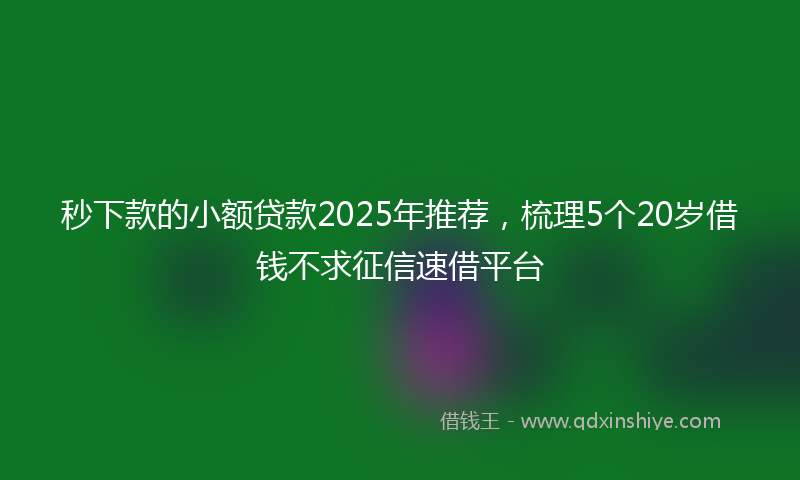 秒下款的小额贷款2025年推荐，梳理5个20岁借钱不求征信速借平台