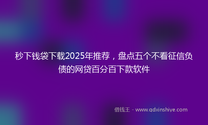 秒下钱袋下载2025年推荐，盘点五个不看征信负债的网贷百分百下款软件