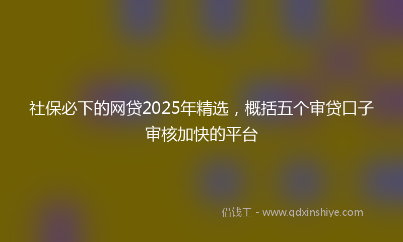 社保必下的网贷2025年精选，概括五个审贷口子审核加快的平台