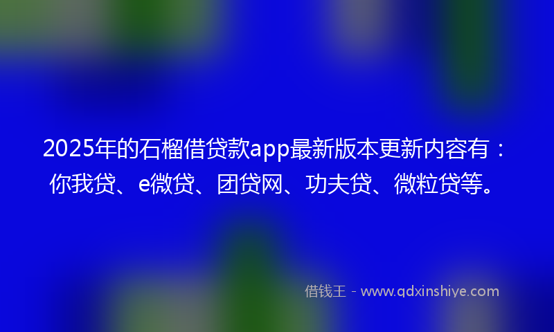 2025年的石榴借贷款app最新版本更新内容有：你我贷、e微贷、团贷网、功夫贷、微粒贷等。