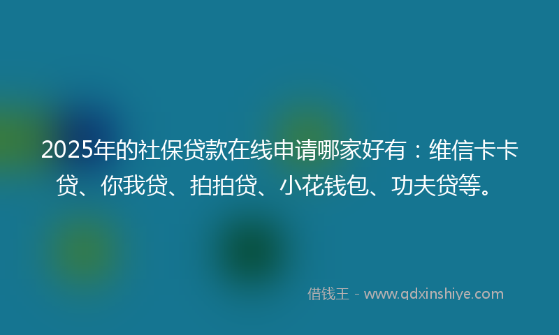 2025年的社保贷款在线申请哪家好有：维信卡卡贷、你我贷、拍拍贷、小花钱包、功夫贷等。