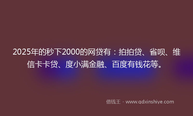 2025年的秒下2000的网贷有：拍拍贷、省呗、维信卡卡贷、度小满金融、百度有钱花等。