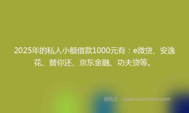 2025年的私人小额借款1000元有：e微贷、安逸花、替你还、京东金融、功夫贷等。