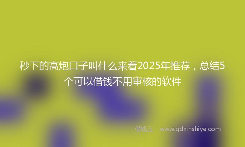秒下的高炮口子叫什么来着2025年推荐，总结5个可以借钱不用审核的软件