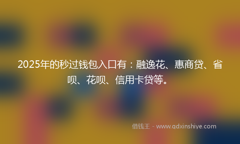 2025年的秒过钱包入口有：融逸花、惠商贷、省呗、花呗、信用卡贷等。