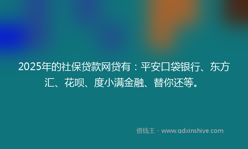 2025年的社保贷款网贷有：平安口袋银行、东方汇、花呗、度小满金融、替你还等。