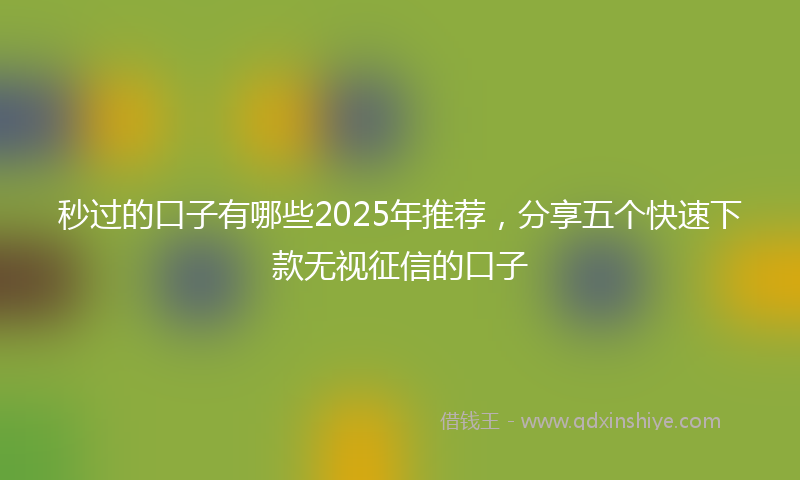 秒过的口子有哪些2025年推荐，分享五个快速下款无视征信的口子