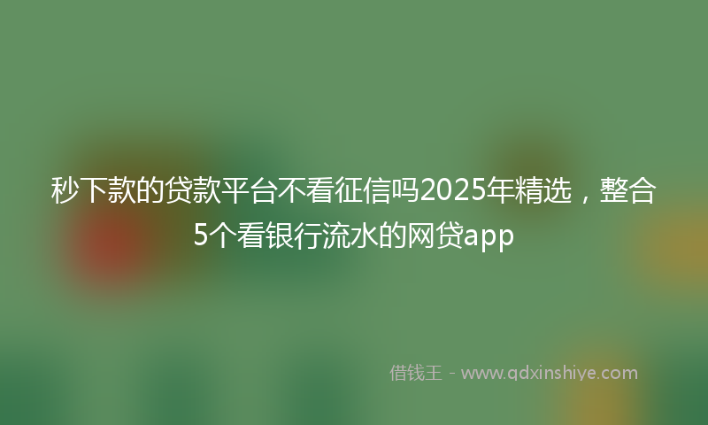 秒下款的贷款平台不看征信吗2025年精选，整合5个看银行流水的网贷app