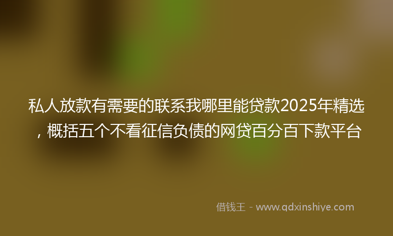 私人放款有需要的联系我哪里能贷款2025年精选，概括五个不看征信负债的网贷百分百下款平台