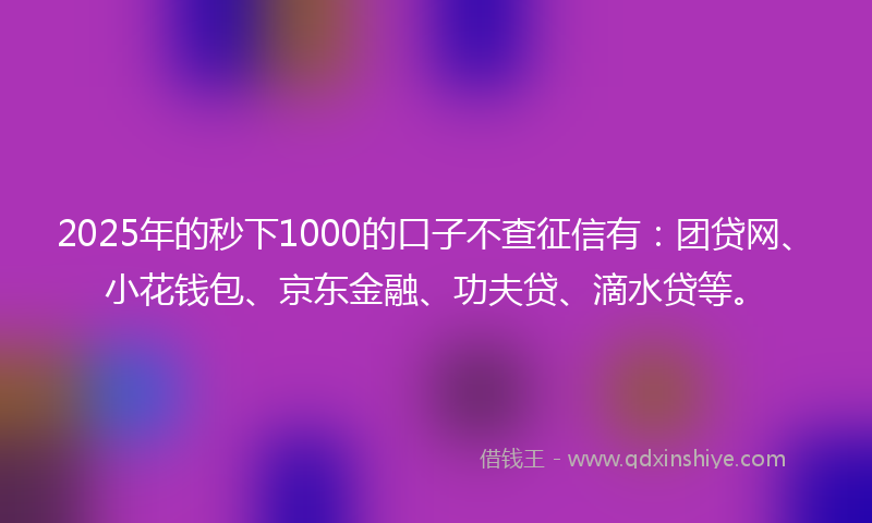 2025年的秒下1000的口子不查征信有：团贷网、小花钱包、京东金融、功夫贷、滴水贷等。