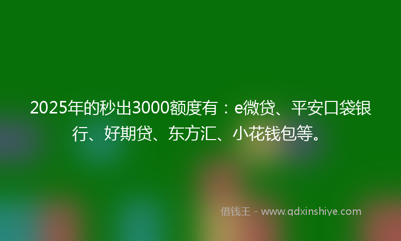 2025年的秒出3000额度有：e微贷、平安口袋银行、好期贷、东方汇、小花钱包等。