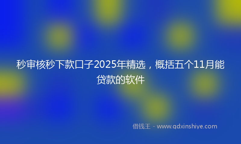 秒审核秒下款口子2025年精选，概括五个11月能贷款的软件
