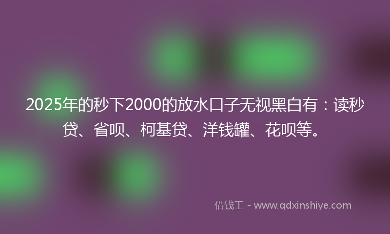 2025年的秒下2000的放水口子无视黑白有：读秒贷、省呗、柯基贷、洋钱罐、花呗等。