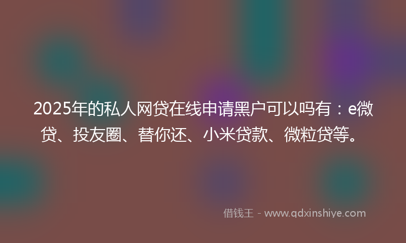 2025年的私人网贷在线申请黑户可以吗有：e微贷、投友圈、替你还、小米贷款、微粒贷等。