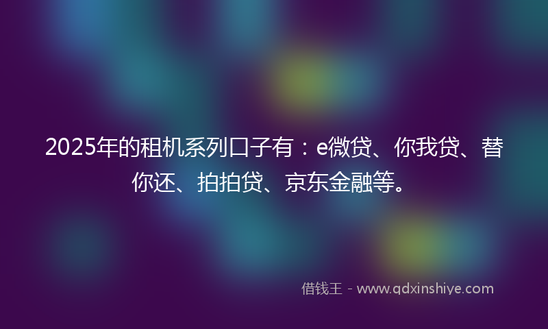 2025年的租机系列口子有：e微贷、你我贷、替你还、拍拍贷、京东金融等。
