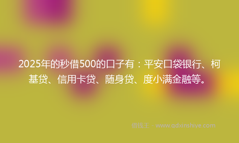 2025年的秒借500的口子有：平安口袋银行、柯基贷、信用卡贷、随身贷、度小满金融等。