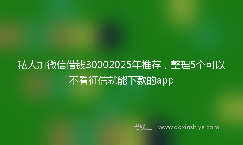 私人加微信借钱30002025年推荐,整理5个可以不看征信就能下款的app