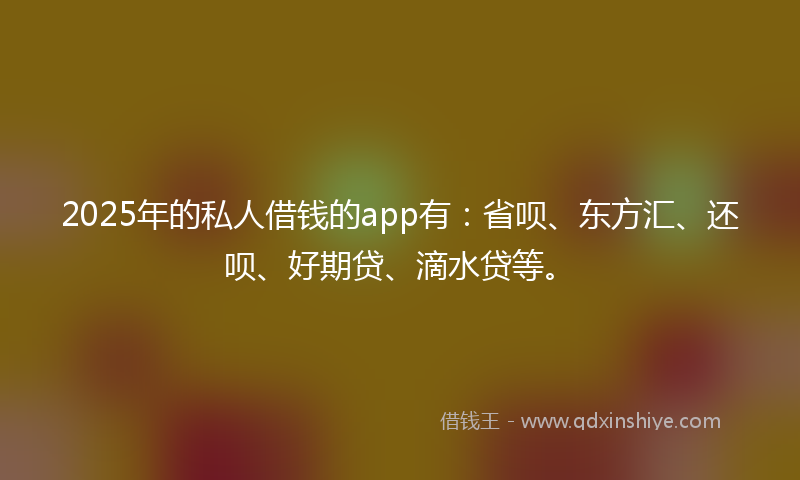 2025年的私人借钱的app有：省呗、东方汇、还呗、好期贷、滴水贷等。