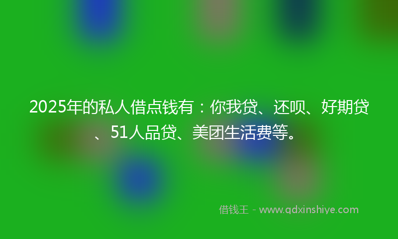 2025年的私人借点钱有：你我贷、还呗、好期贷、51人品贷、美团生活费等。