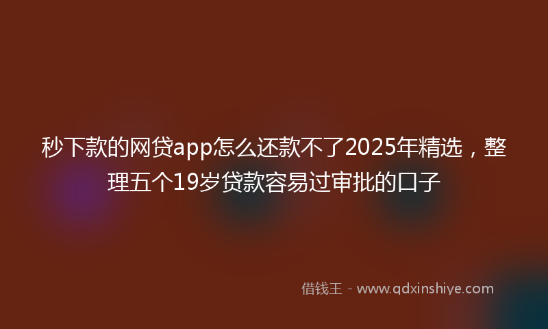 秒下款的网贷app怎么还款不了2025年精选，整理五个19岁贷款容易过审批的口子
