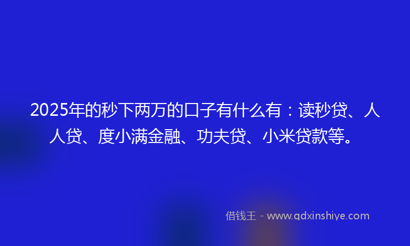 2025年的秒下两万的口子有什么有：读秒贷、人人贷、度小满金融、功夫贷、小米贷款等。