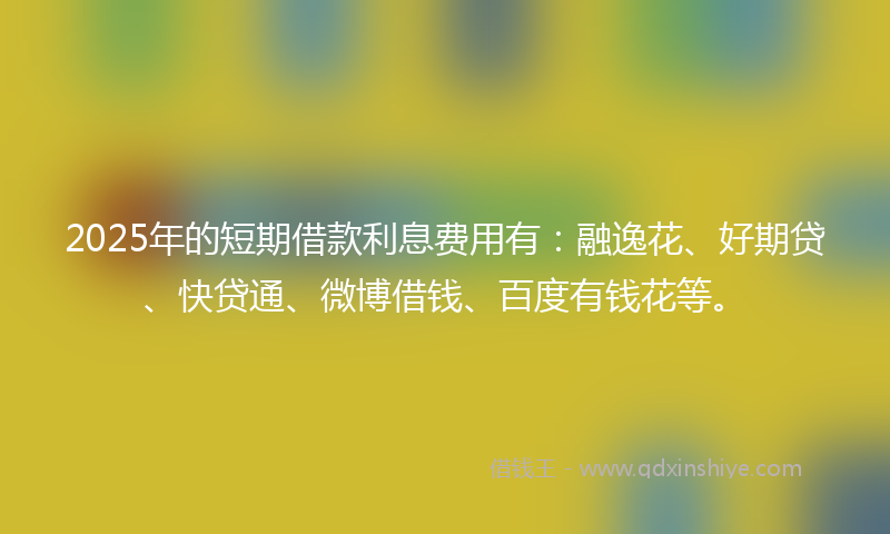 2025年的短期借款利息费用有：融逸花、好期贷、快贷通、微博借钱、百度有钱花等。