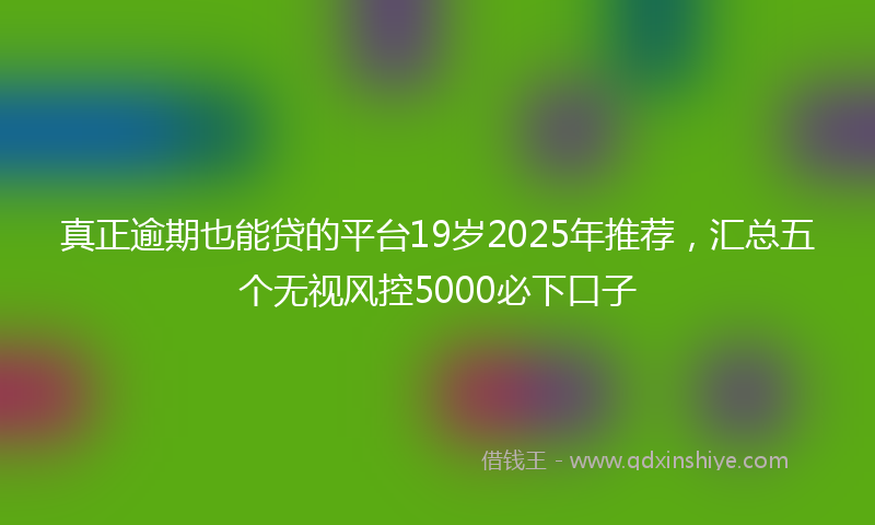真正逾期也能贷的平台19岁2025年推荐，汇总五个无视风控5000必下口子