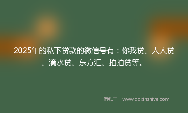 2025年的私下贷款的微信号有：你我贷、人人贷、滴水贷、东方汇、拍拍贷等。
