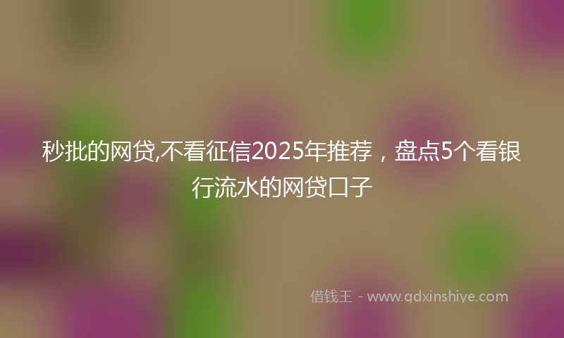 秒批的网贷,不看征信2025年推荐，盘点5个看银行流水的网贷口子