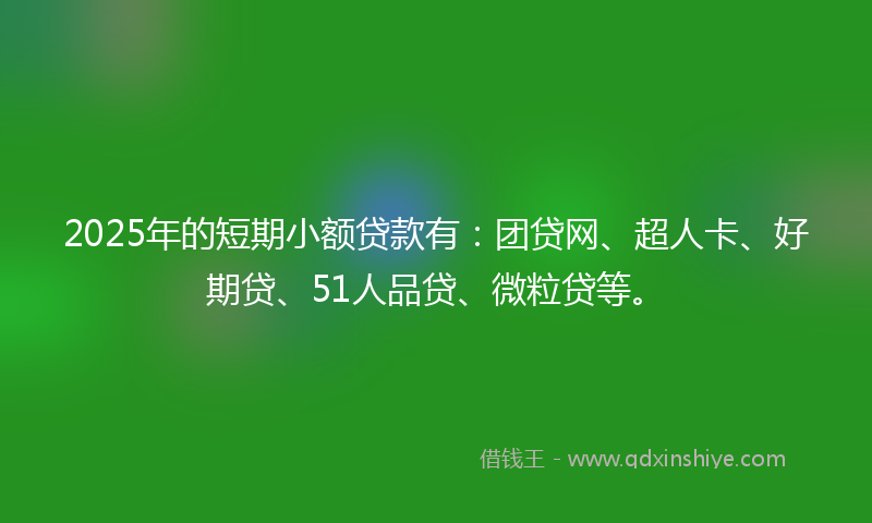 2025年的短期小额贷款有：团贷网、超人卡、好期贷、51人品贷、微粒贷等。