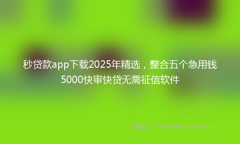 秒贷款app下载2025年精选，整合五个急用钱5000快审快贷无需征信软件