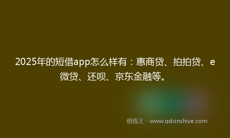 2025年的短借app怎么样有：惠商贷、拍拍贷、e微贷、还呗、京东金融等。
