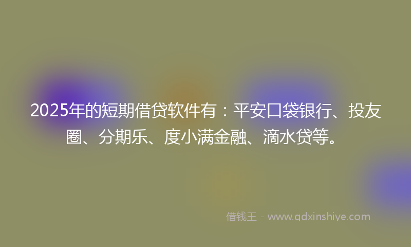 2025年的短期借贷软件有：平安口袋银行、投友圈、分期乐、度小满金融、滴水贷等。