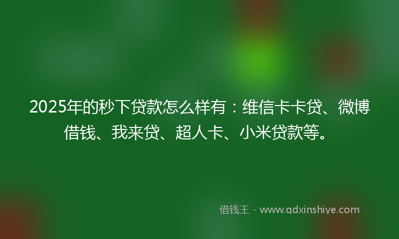2025年的秒下贷款怎么样有：维信卡卡贷、微博借钱、我来贷、超人卡、小米贷款等。