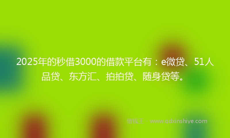 2025年的秒借3000的借款平台有：e微贷、51人品贷、东方汇、拍拍贷、随身贷等。