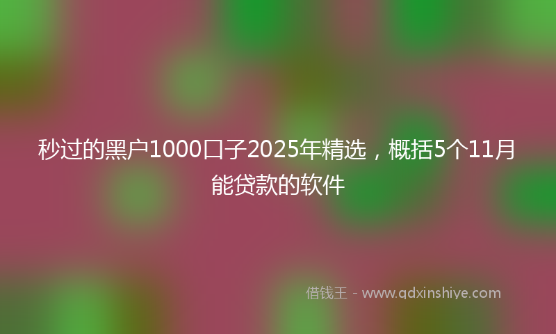 秒过的黑户1000口子2025年精选，概括5个11月能贷款的软件