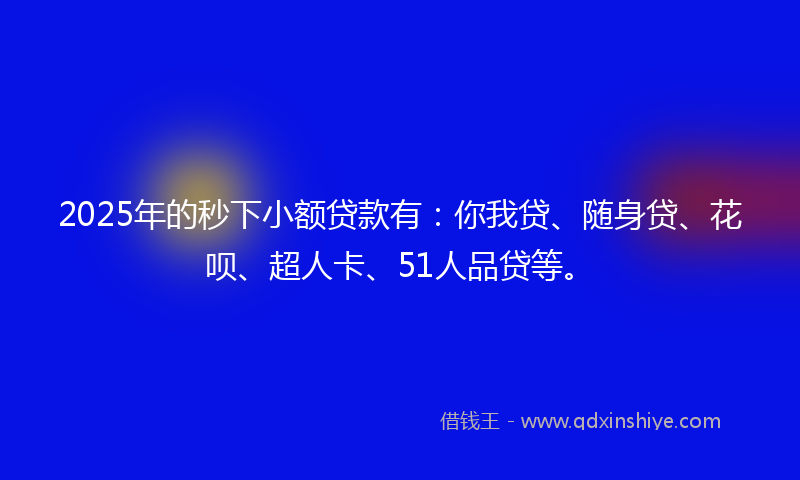 2025年的秒下小额贷款有：你我贷、随身贷、花呗、超人卡、51人品贷等。