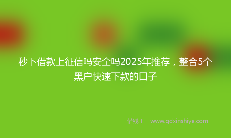 秒下借款上征信吗安全吗2025年推荐，整合5个黑户快速下款的口子