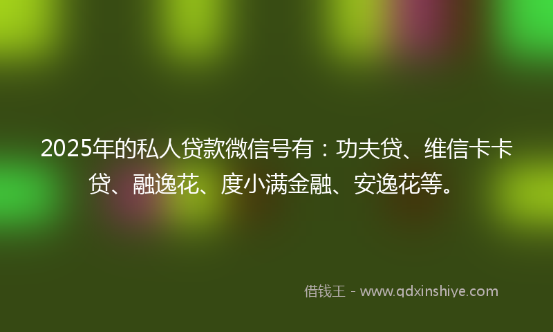 2025年的私人贷款微信号有：功夫贷、维信卡卡贷、融逸花、度小满金融、安逸花等。