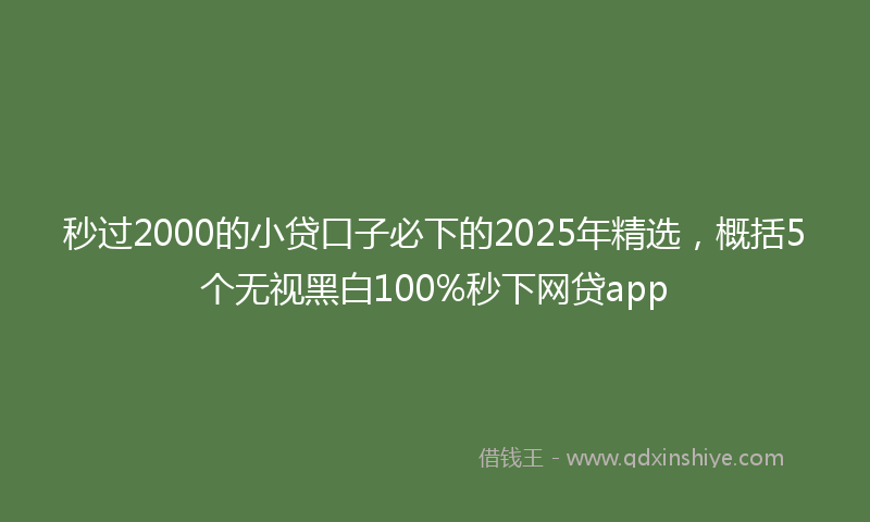秒过2000的小贷口子必下的2025年精选，概括5个无视黑白100%秒下网贷app