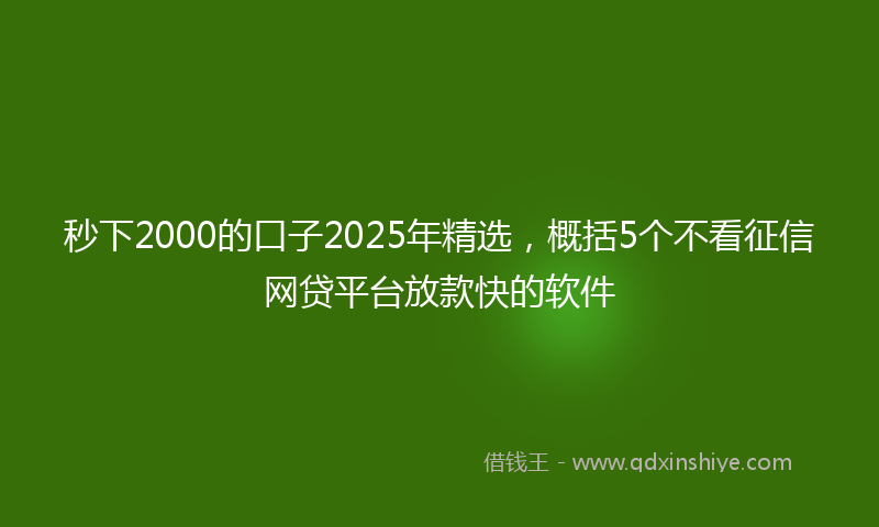 秒下2000的口子2025年精选，概括5个不看征信网贷平台放款快的软件
